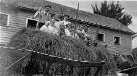 vaca.JPG (33268 bytes)